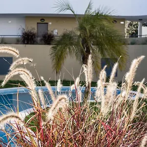 family-apartments-albur-village-ii.hotelaalgarve.com/