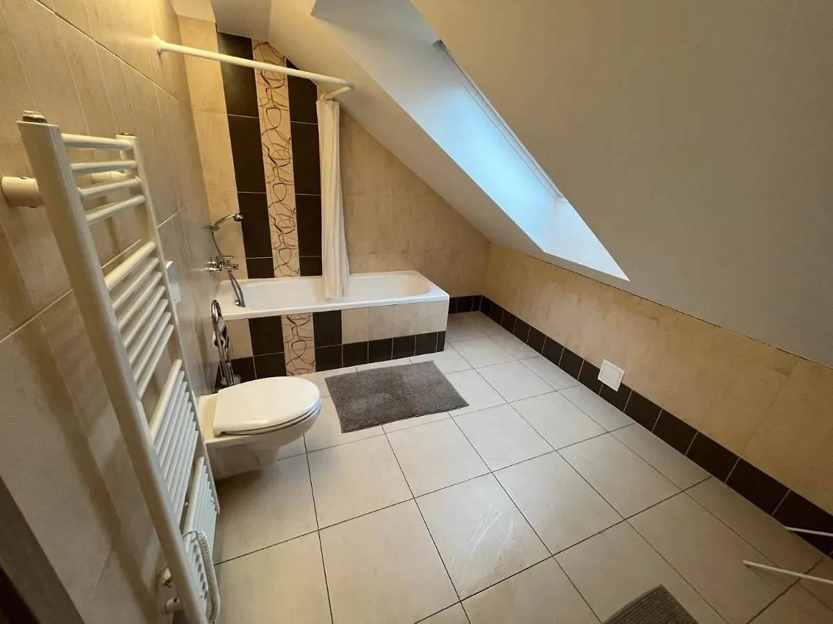 Apartmany Skryjova Brünn Tschechische Republik