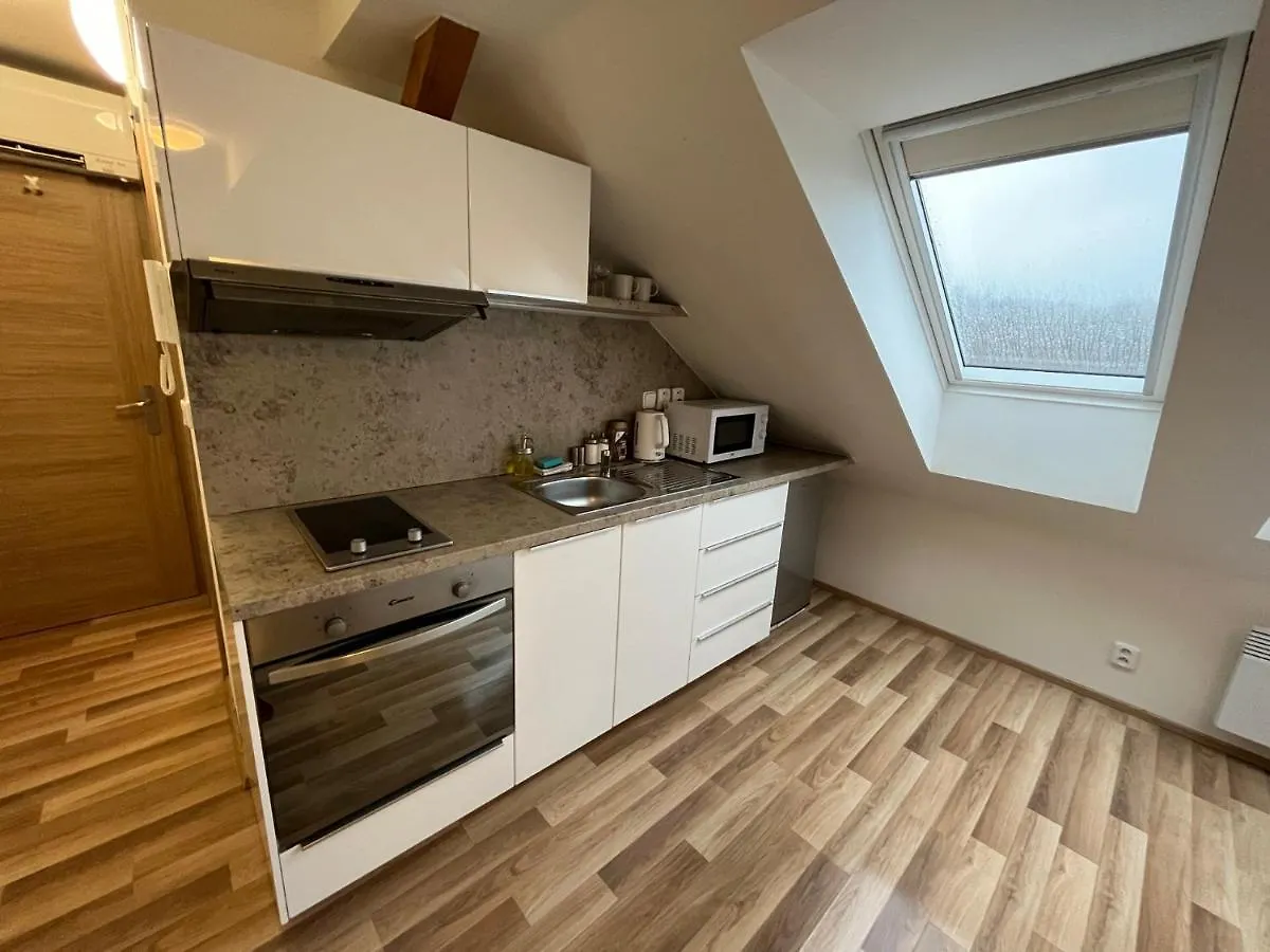 Apartmany Skryjova Brno Czech Republic