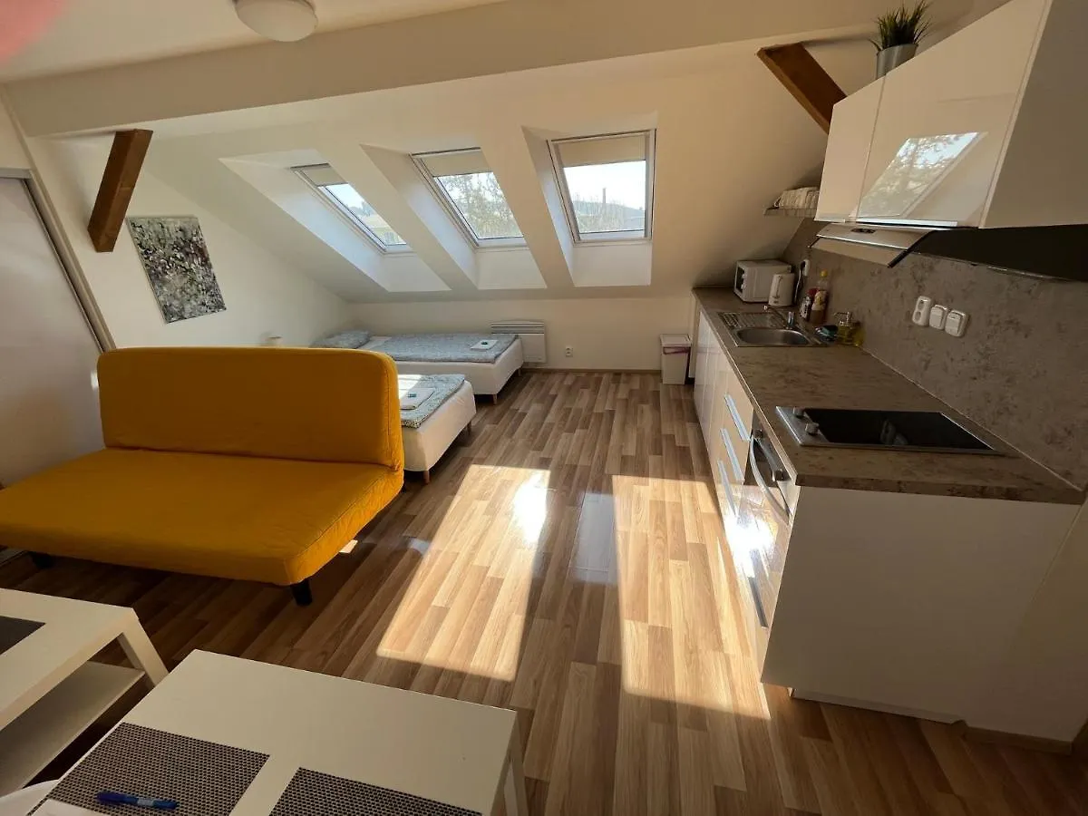 Apartmany Skryjova Brünn
